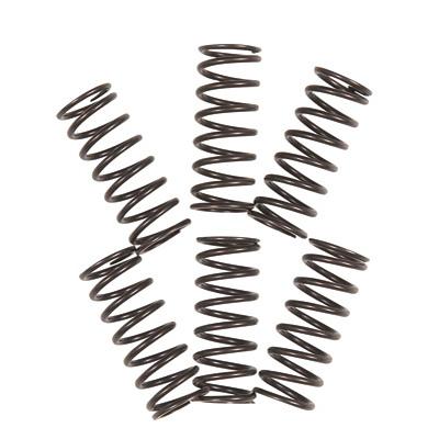 Tusk Clutch Springs - 2010 KTM530 XC-W