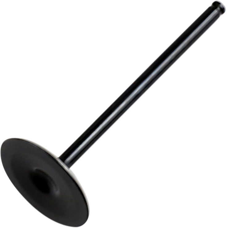 Hot Cams Intake Valve Polaris ACE 570 2015